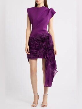 Acler Wigbeth Pleated Organza Overlay Mini Dress in Deep Ruby 4